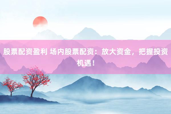 股票配资盈利 场内股票配资：放大资金，把握投资机遇！