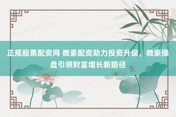 正规股票配资网 微豪配资助力投资升级，微豪操盘引领财富增长新路径