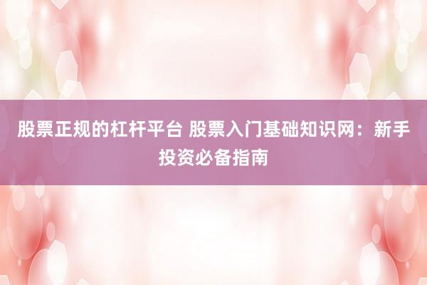 股票正规的杠杆平台 股票入门基础知识网：新手投资必备指南