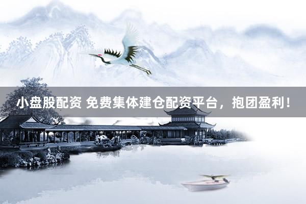 小盘股配资 免费集体建仓配资平台，抱团盈利！