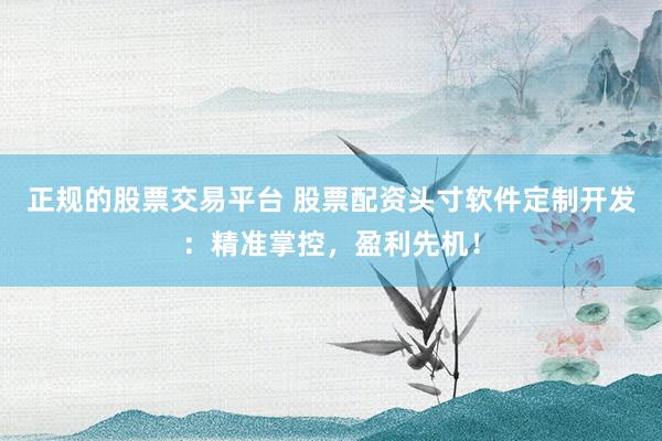 正规的股票交易平台 股票配资头寸软件定制开发:精准掌控,盈利先机!