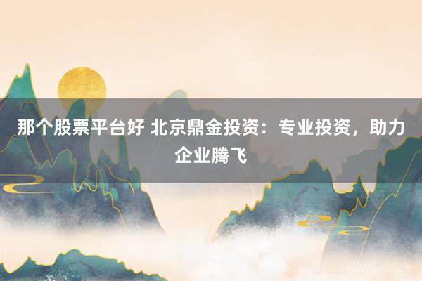 那个股票平台好 北京鼎金投资：专业投资，助力企业腾飞