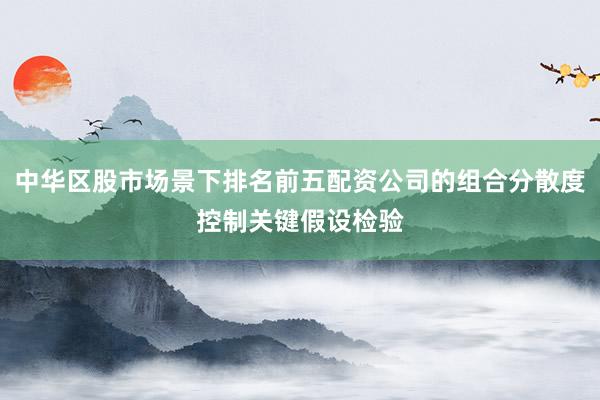 中华区股市场景下排名前五配资公司的组合分散度控制关键假设检验
