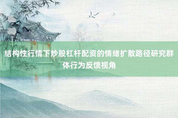 结构性行情下炒股杠杆配资的情绪扩散路径研究群体行为反馈视角