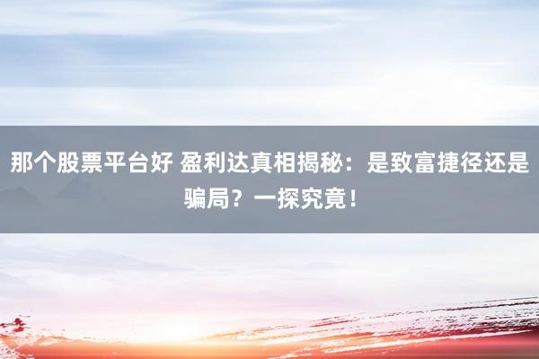 那个股票平台好 盈利达真相揭秘：是致富捷径还是骗局？一探究竟！